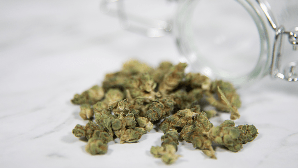 Maple Citrus Cannabis-Whiskey Sour